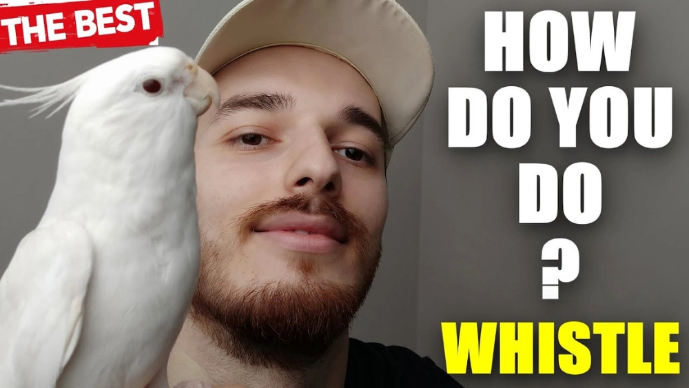 How to Hand Whistle Bird Call: Master the Art Quickly!