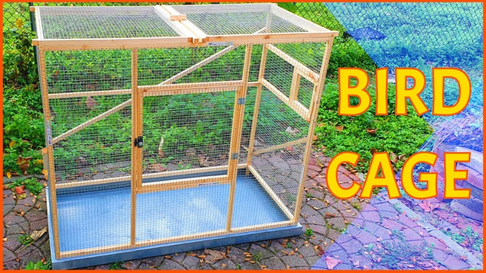 How to Build a Bird Cage for Parakeets: Easy DIY Guide