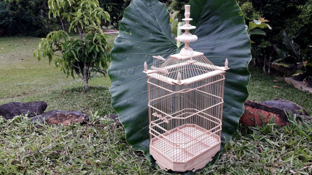Best Bird Cage for Catching Seeds: Top Adjustable Mesh Covers Reviewed