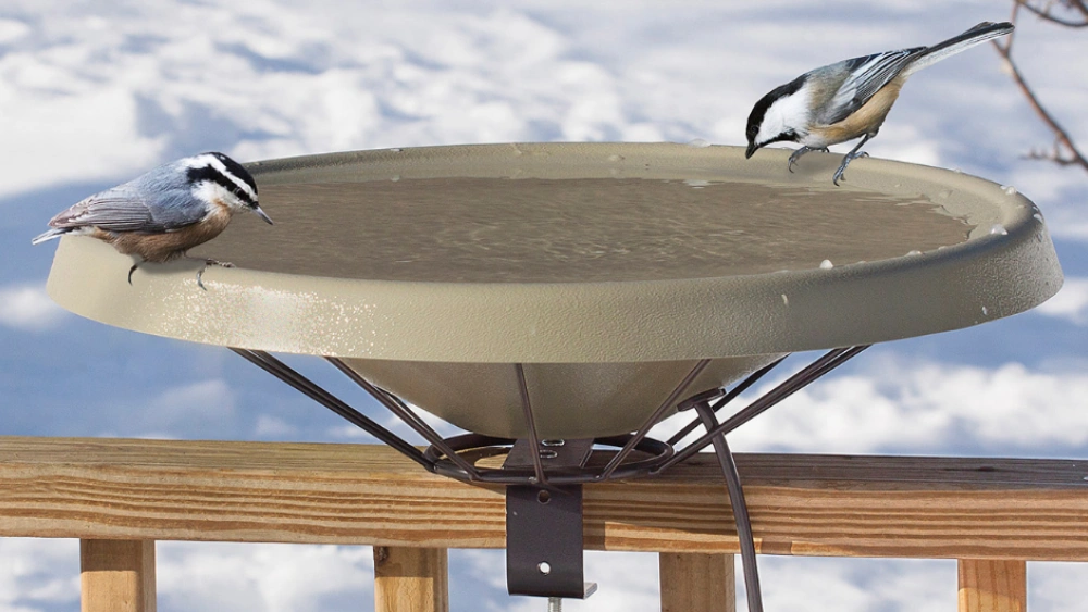Best Heated Bird Baths for Small Birds: Top Winter Outdoor Picks