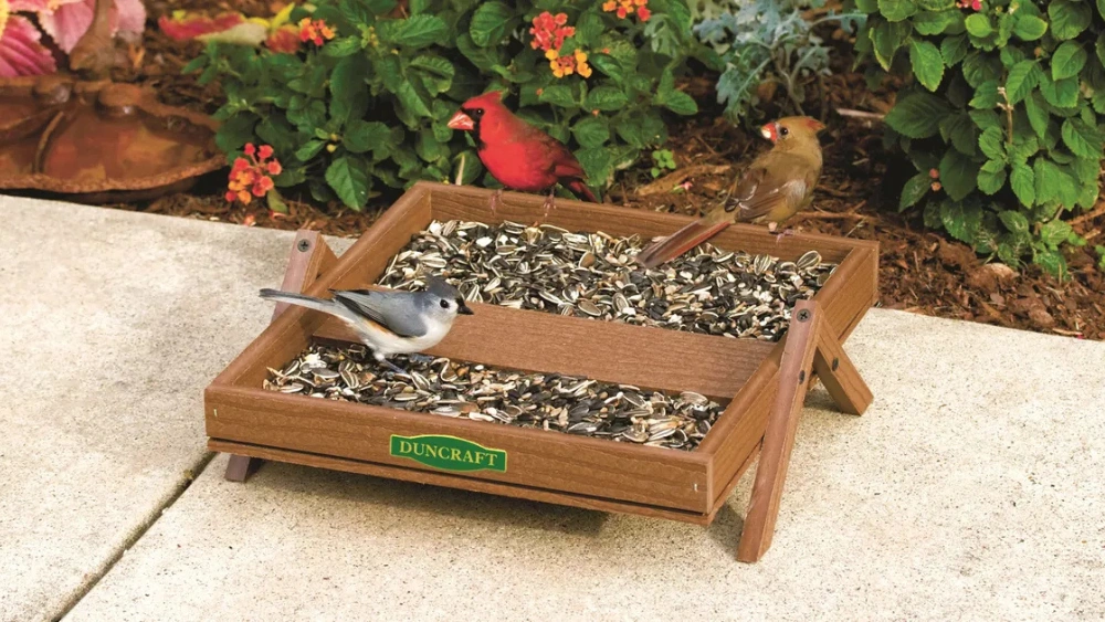 Best Garden Bird Tables With Feeders to Attract Wild Birds Easily