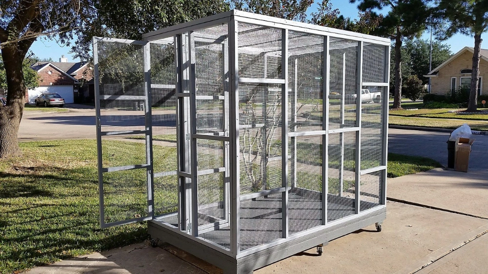 Best Large Bird Cage for Parakeets: Top Spacious Cages for Happy Birds