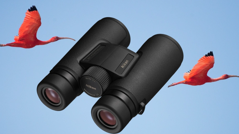 Best Compact Binoculars for Birdwatching: Top Picks for Clear Views