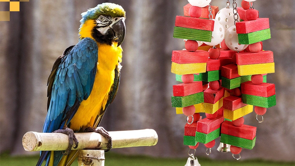 Best Bird Toys for Large Parrots to Keep Your Macaws Entertained