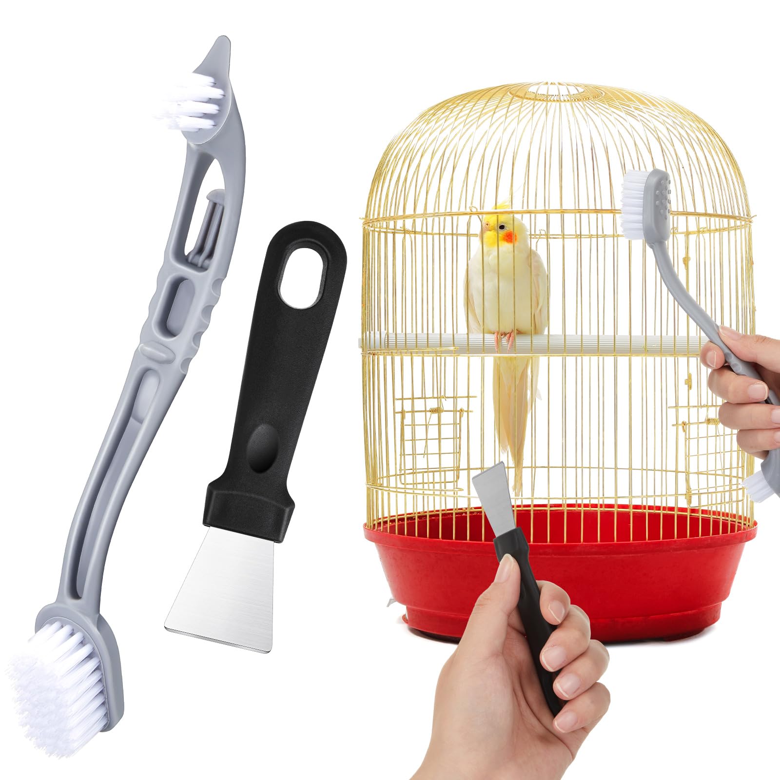 How Often Should You Clean a Bird Cage: Ultimate Hygiene Guide