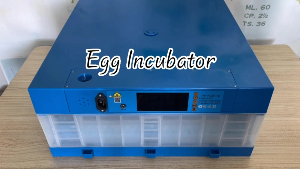 Best Incubators for Eggs: Top Automatic Hatching Machines Reviewed