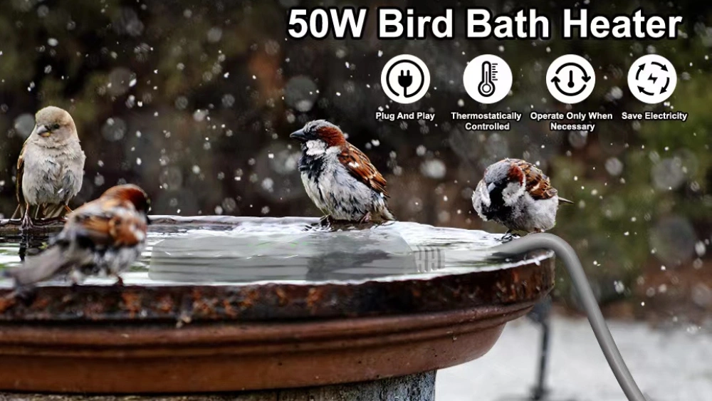 How to Heat Bird Bath to 50°: Easy Tips for Winter Warmth