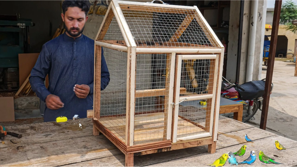 How Much Does a Bird Cage Cost at Petsmart: Ultimate Price Guide