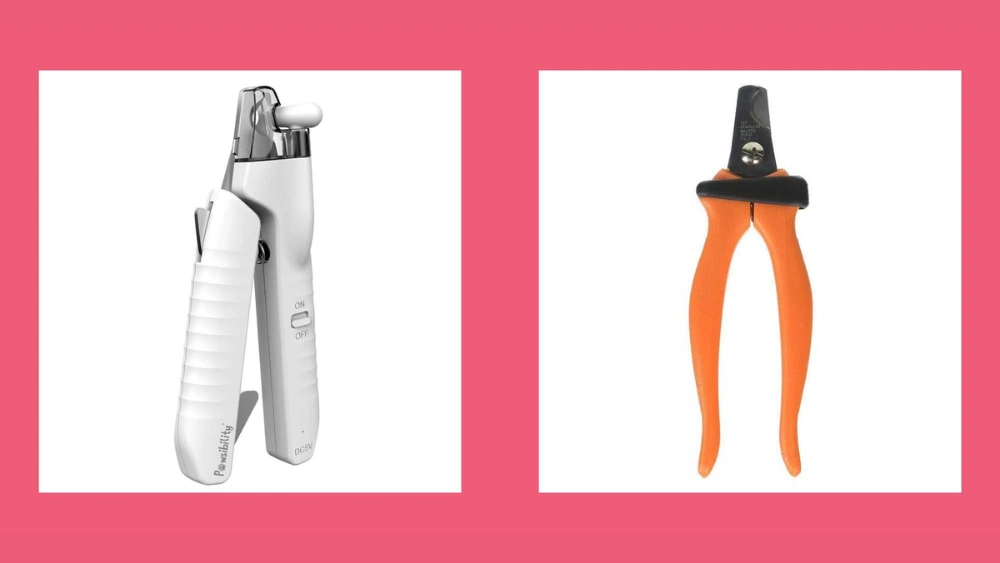 Best Bird Nail Clippers for Parrots: Top Safe and Precise Trimmers Reviewed