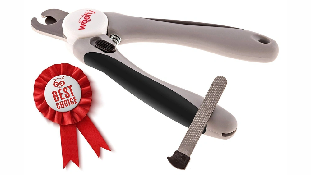 Best Pet Nail Clippers for Cockatiels: Safe, Precise, and Easy Grooming