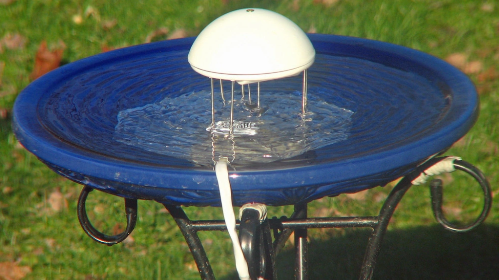 How to Make a Homemade Bird Bath Heater: Easy & Effective Guide
