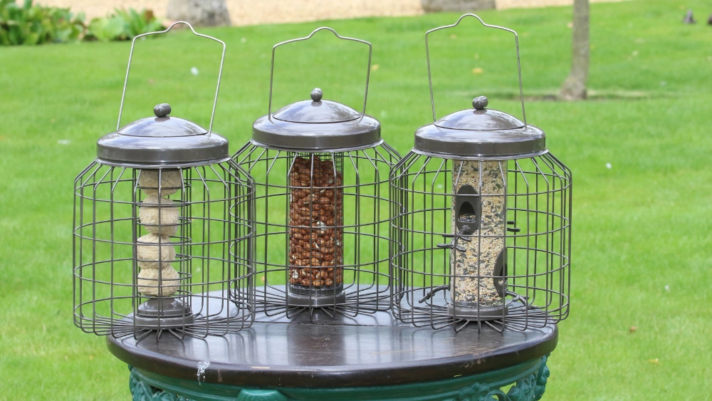 Best Bird Cage Feeders for Squirrel-Proof and No-Mess Outdoor Feeding