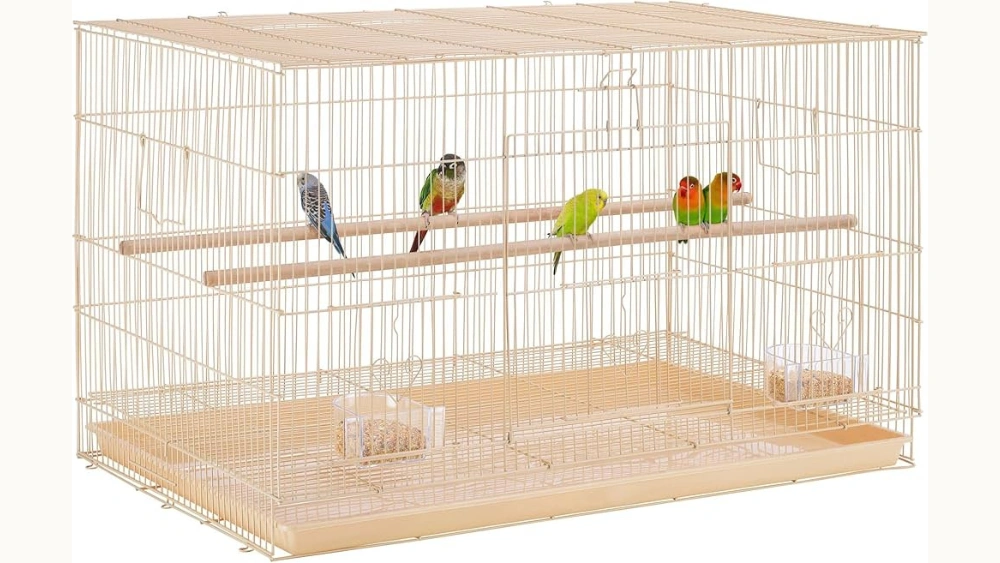 Best Cage for Love Birds: Spacious, Durable, and Fun Bird Cages Reviewed