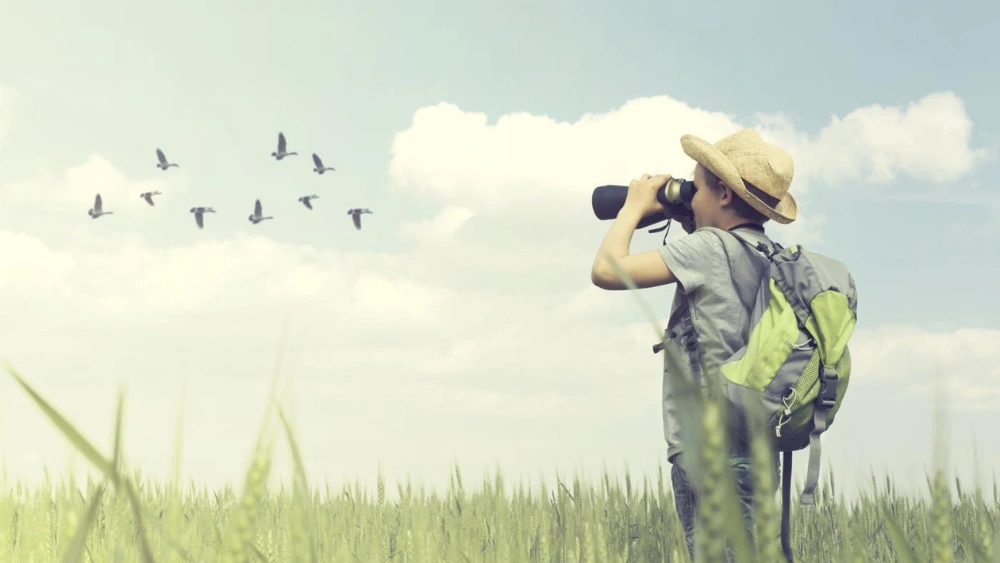 How to Bird Without Binoculars: Expert Tips for Clear Viewing