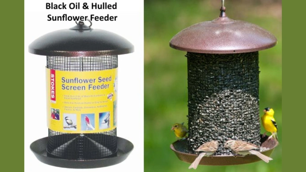 Best Bird Feeder for Sunflower Seeds: Top Durable Outdoor Choices