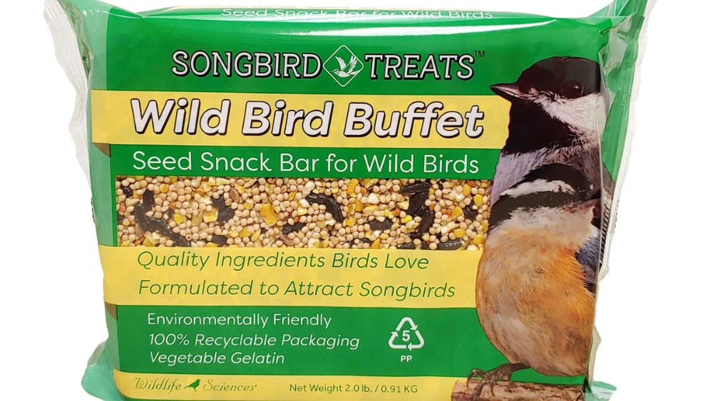 Best Wild Bird Food for Winter to Attract Colorful Songbirds Easily