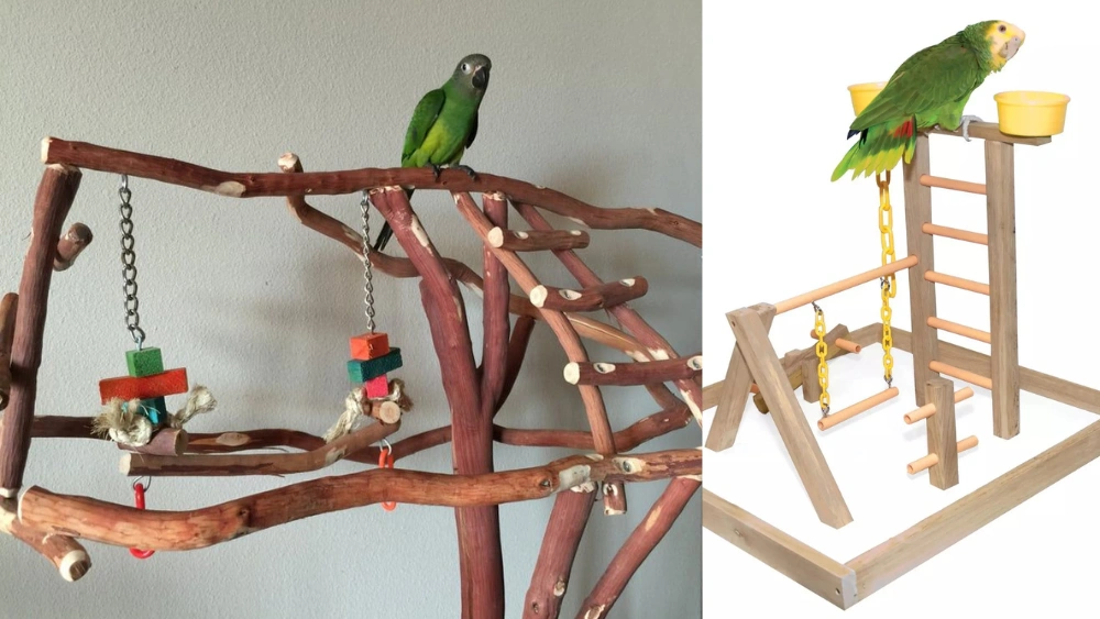 Best Bird Play Stand for Parrots: Durable, Fun, and Easy to Clean