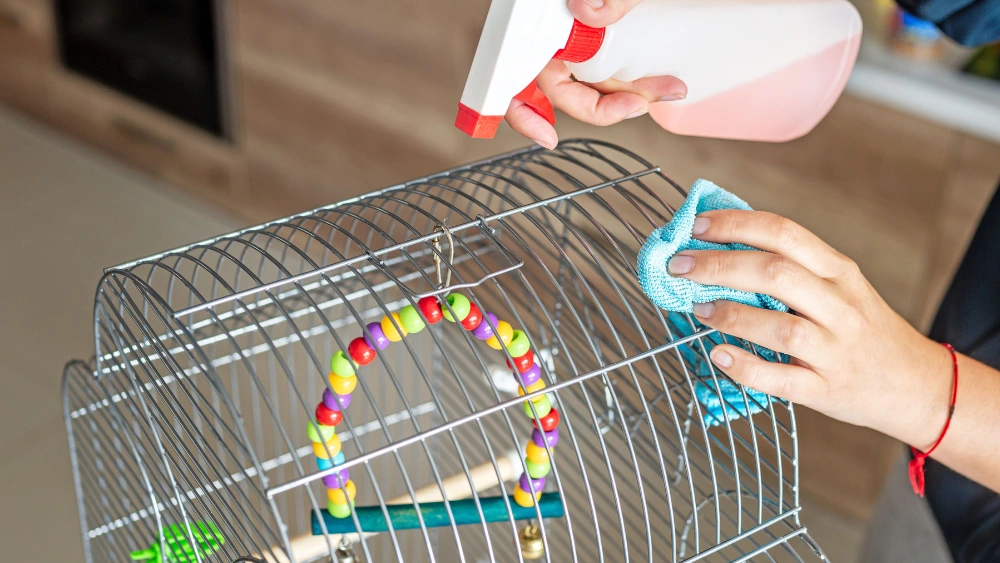 How to Clean Bird Perches: Easy Steps for a Spotless Cage
