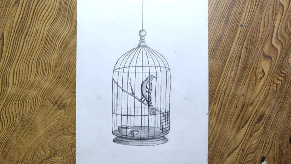 How to Draw a Bird Inside a Cage: Easy Step-by-Step Guide