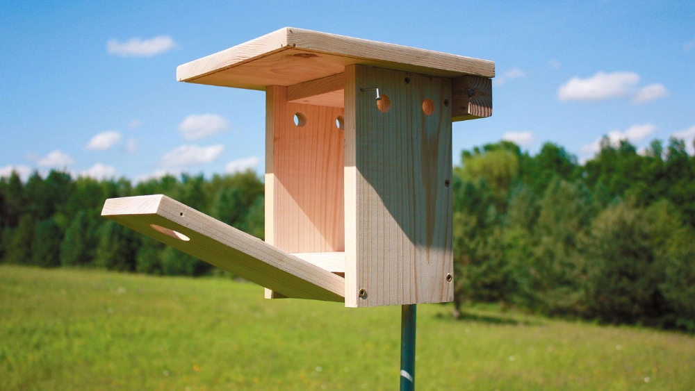 How to Hang a Bluebird House: Easy Steps for Perfect Placement