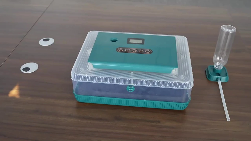 Best Inexpensive Egg Incubator for Hassle-Free Hatching Success