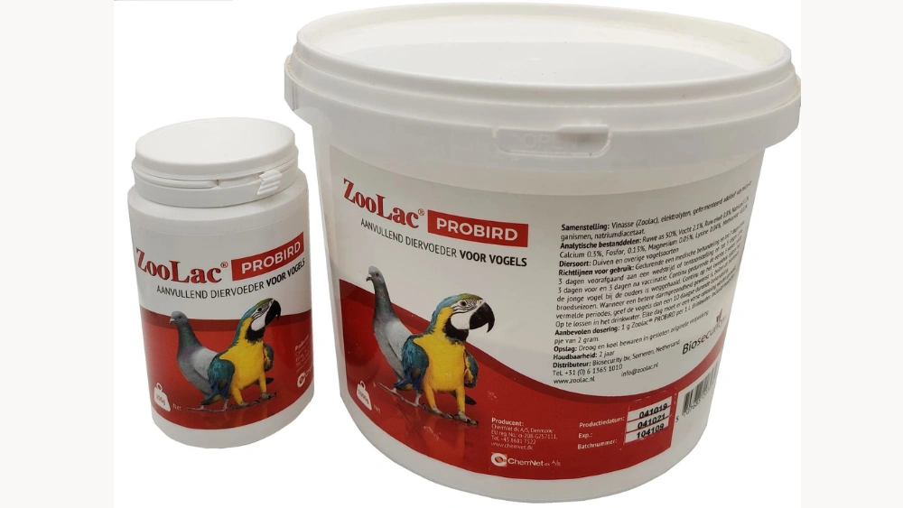 Best Probiotics for Pet Birds to Boost Digestion and Immunity