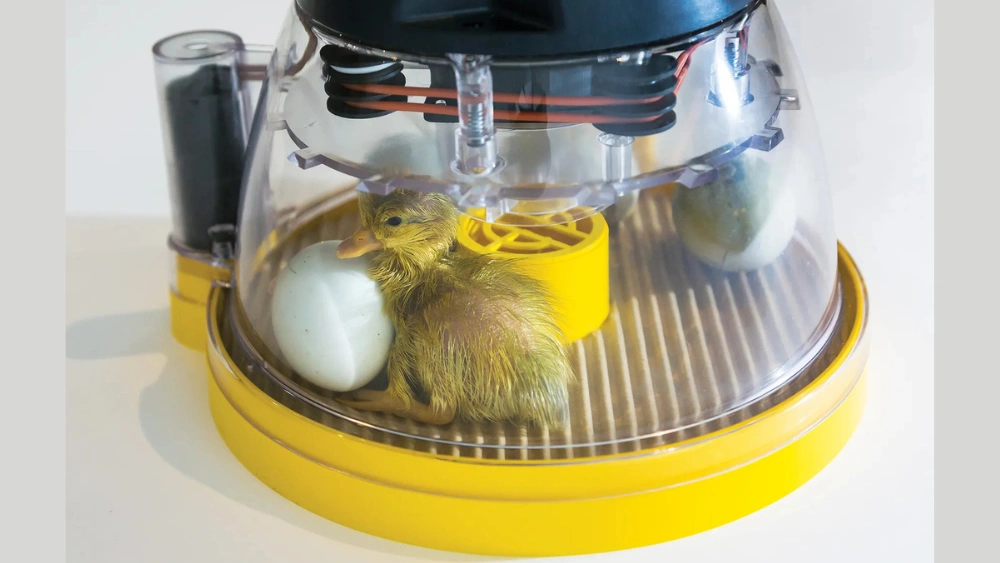 Best Incubators for Duck Eggs with Automatic Turning and Humidity Control