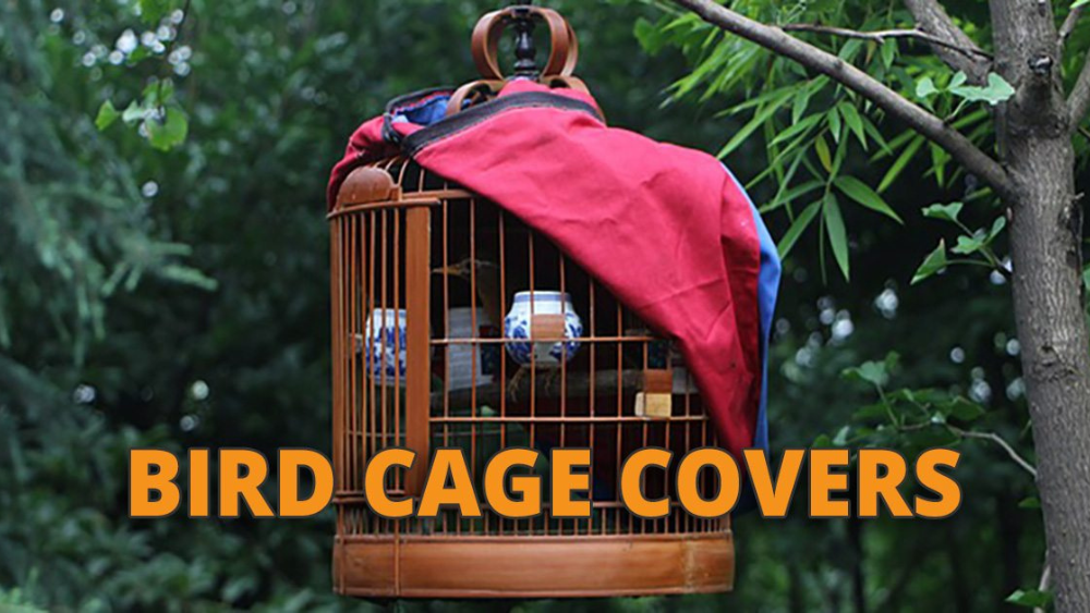 Is a Quilt to Heavy to Cover Conure Bird Cage? Expert Tips